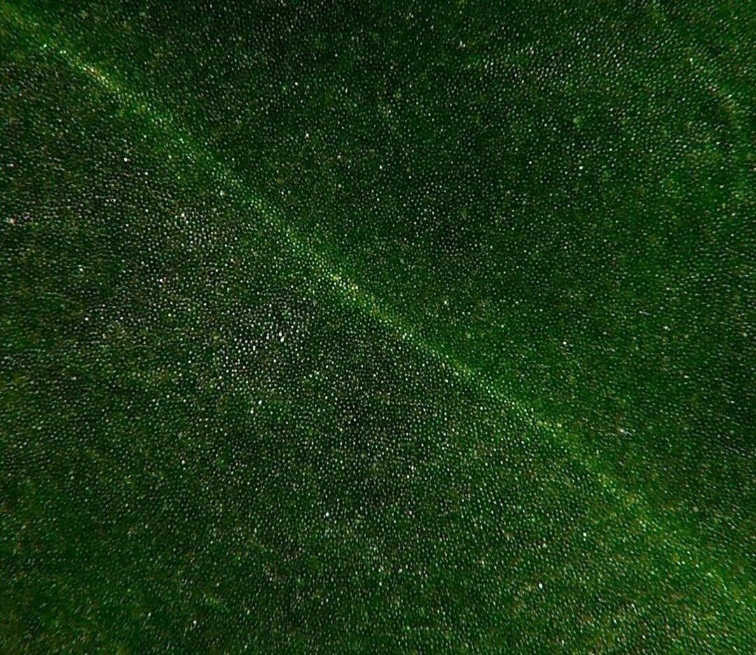火鶴絨感怎麼來的？