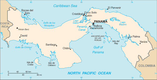 生態型